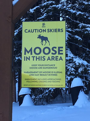 Moose sign